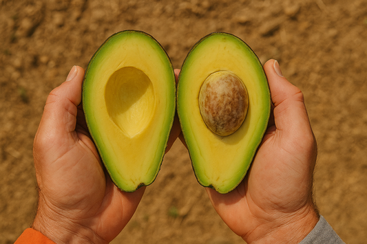 Beneficios de consumir aguacates: por qué este oro verde es esencial en tu dieta