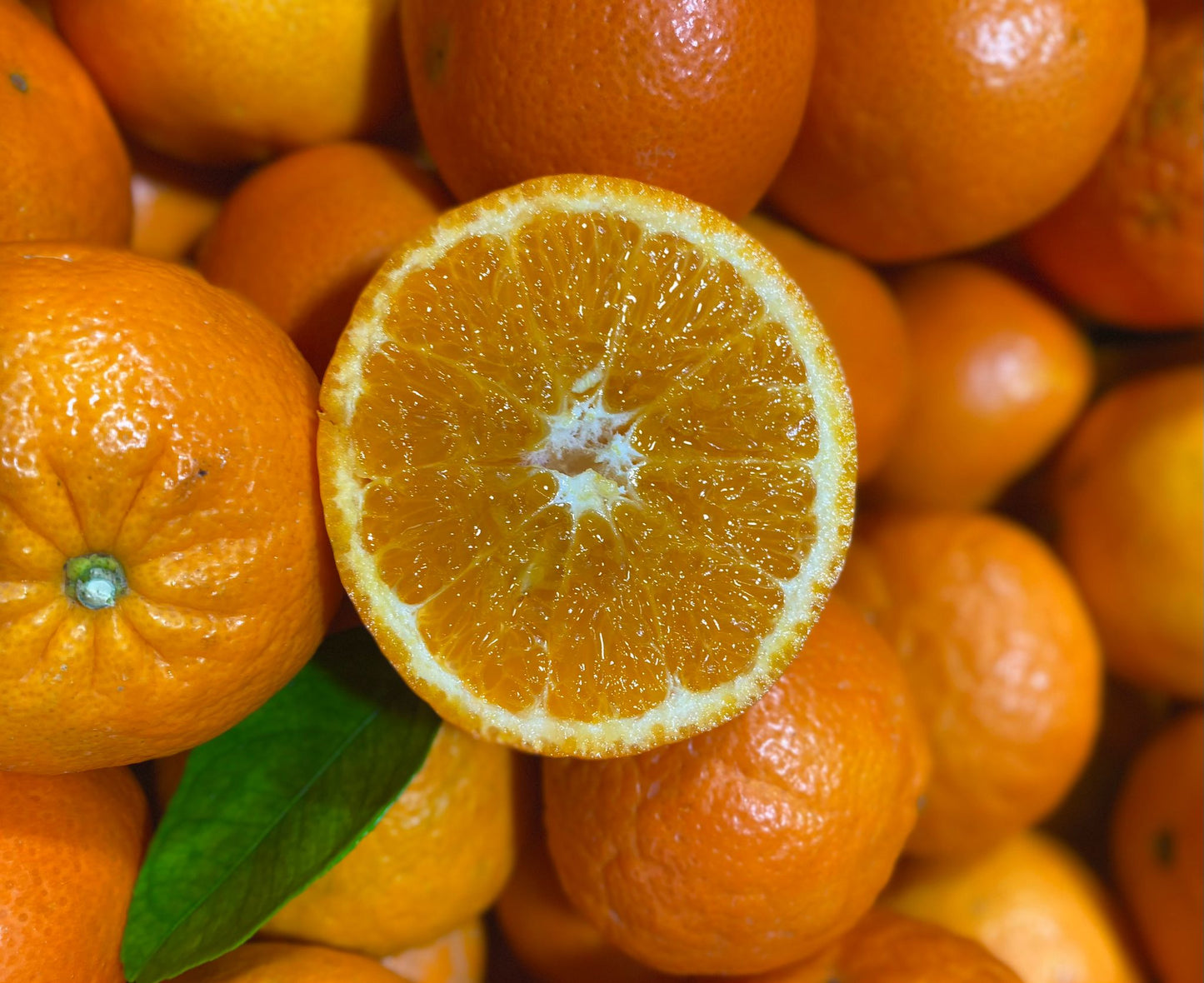 Mandarina Premium Orri de Pablo