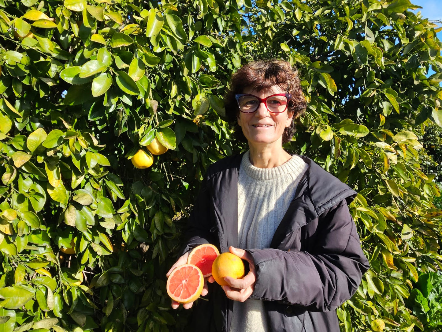 Pomelo Rojo superagricultor.com