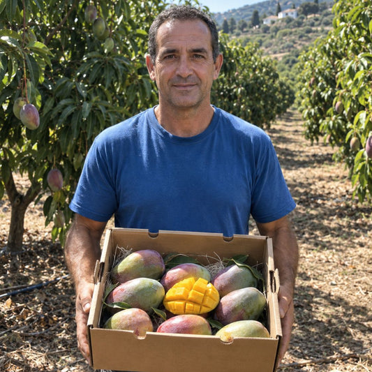 Mango Osteen de Lucas