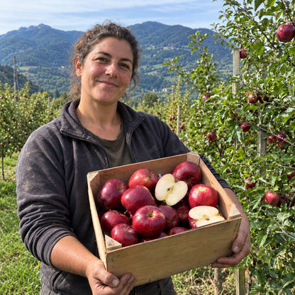 Manzana Orgánica de Montaña Roja De Laura