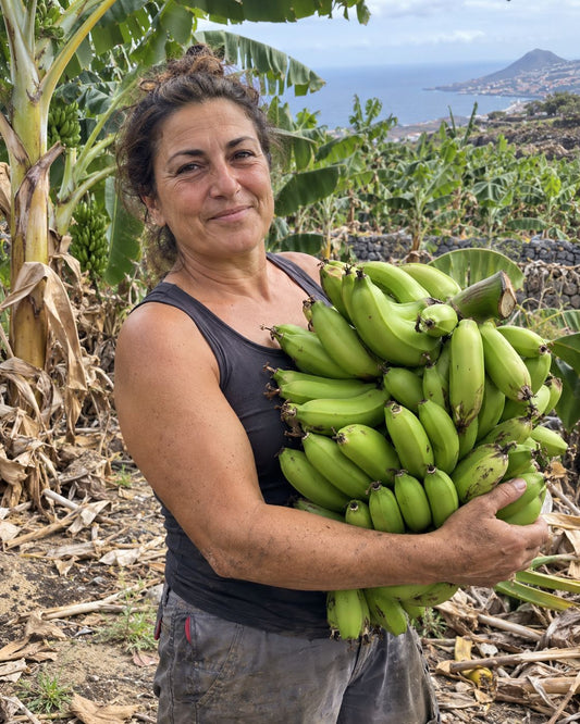 Plátano Orgánico Cavendish de Isabel