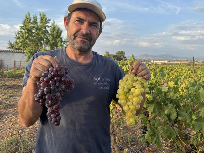Racimos de Uva de la Huerta