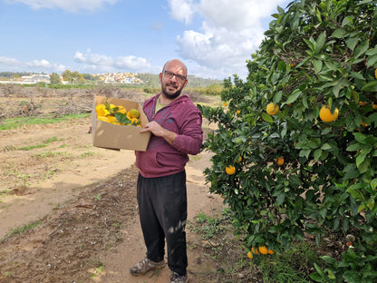 Naranja Valenciana Zumo de Paco