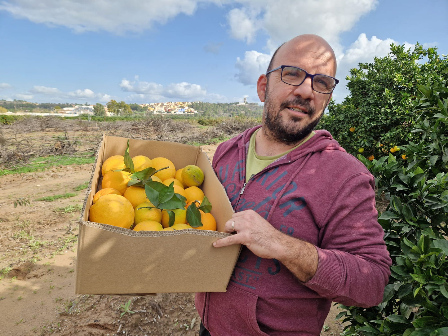 Naranja Valenciana Zumo de Paco