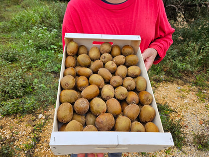 Kiwi Rojo Mini de Fran