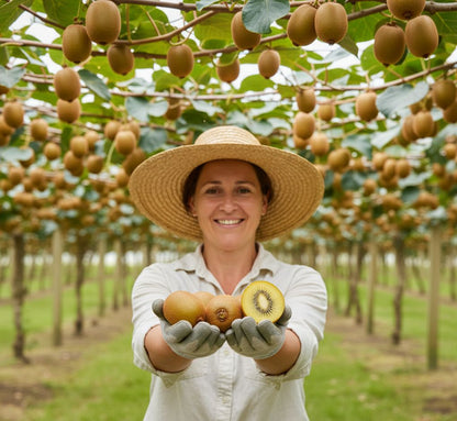 Kiwi Amarillo de Amparo