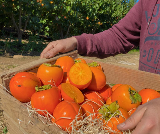 Caqui Rojo Brillante de Paco