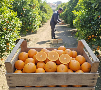 Mandarina Premium Orri de Pablo