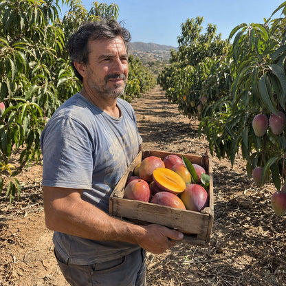 Mango Osteen de Antonio