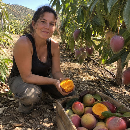 Mango Osteen de Rocío