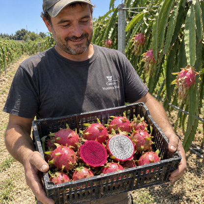 Fruta del Dragón (Pitahaya) de Ximo