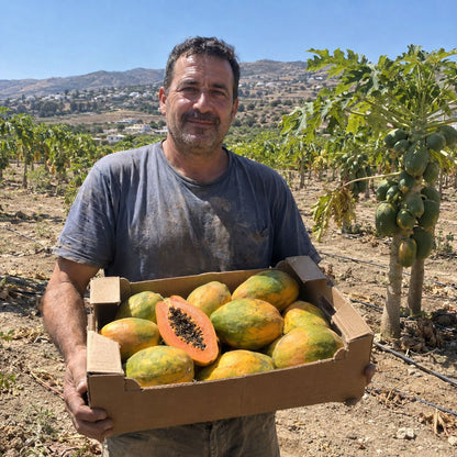 Papaya Sweet Sense de Salva