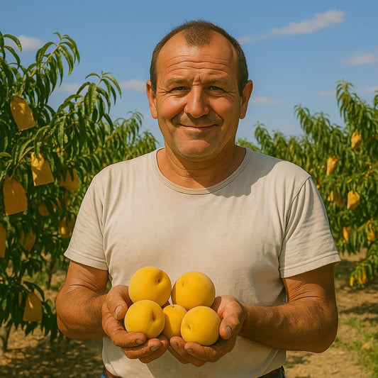 Melocotón amarillo de Roberto