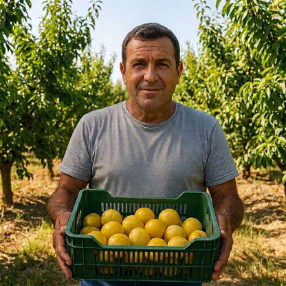Ciruelo amarillo de Francisco