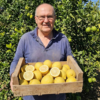 Limon Primofiori de Jose